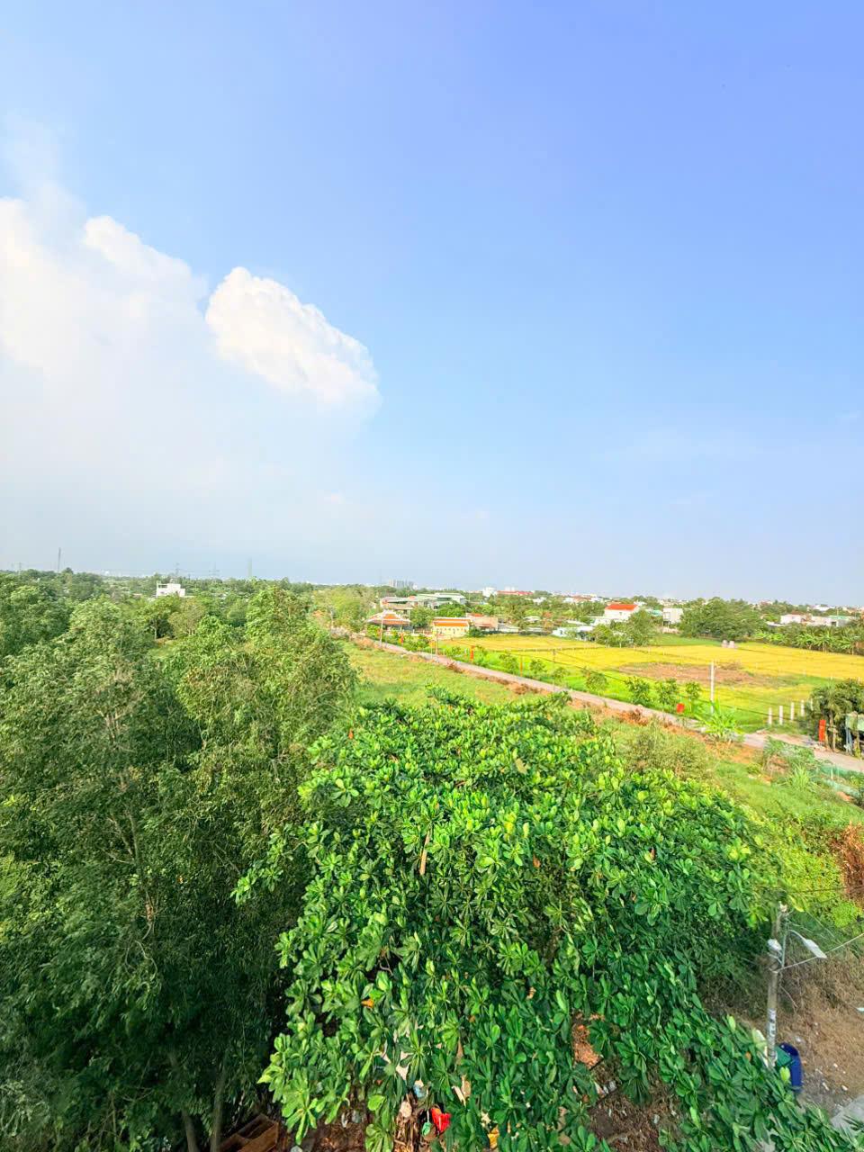 Hình ảnh phòng 5